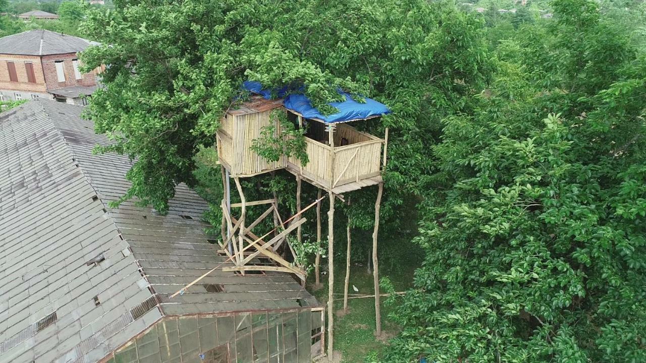 Апартаменти Eagle Nest Мартвілі Екстер'єр фото