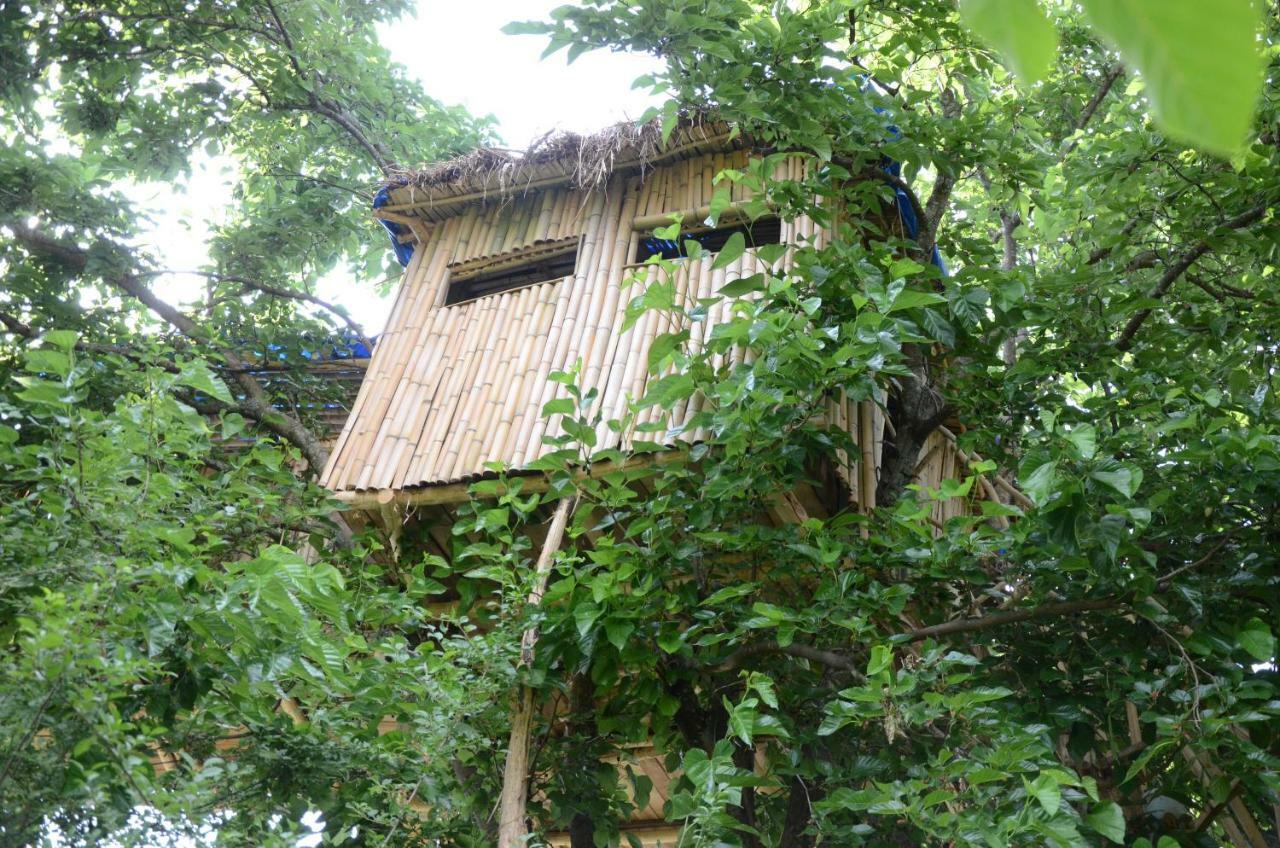 Апартаменти Eagle Nest Мартвілі Екстер'єр фото