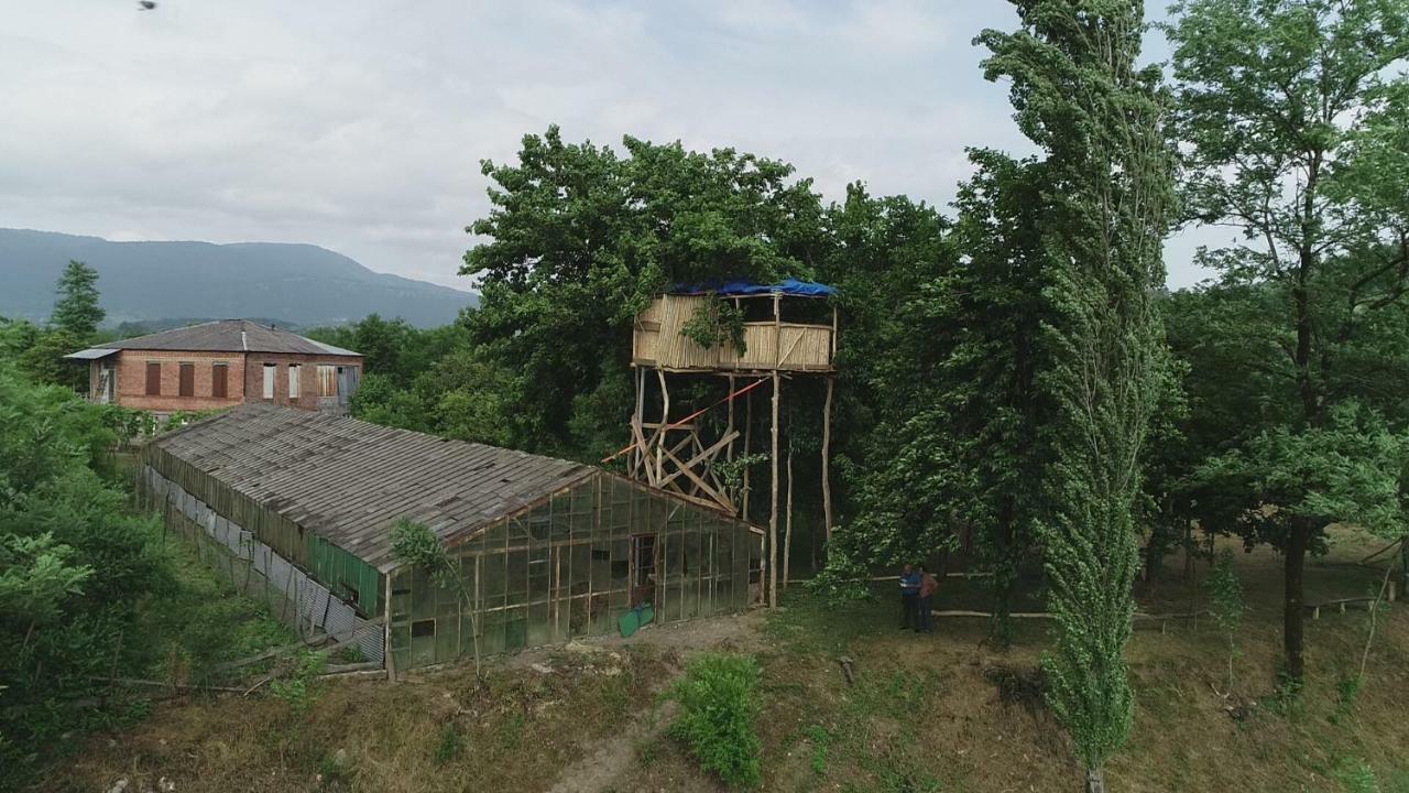 Апартаменти Eagle Nest Мартвілі Екстер'єр фото